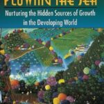 Plowing the Sea: Nurturing the Hidden Sources of Growth in the Developing World