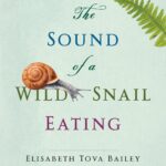 The Sound of a Wild Snail Eating