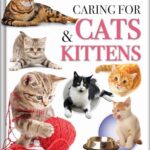 Caring for Cats Kittens/Learning/NP