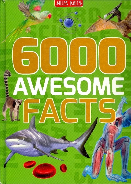 Awesome 6000 facts