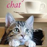 Comme chiens et chats