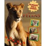 F?lins - Coloriages, jeux & stickers