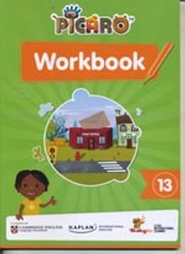 Picaro workbook 13