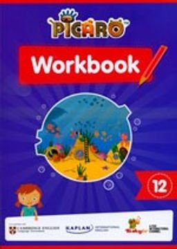 Picaro workbook 12