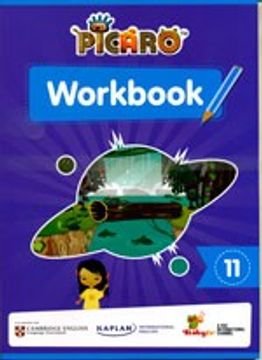 Picaro workbook 11