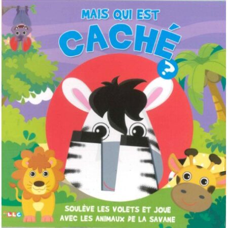 MAis QUI Est Cache