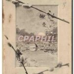 C'est un mondeFRKidsHFB