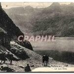 Mon livre sonore B?b?s animaux