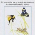 An Instant Guide to Insects