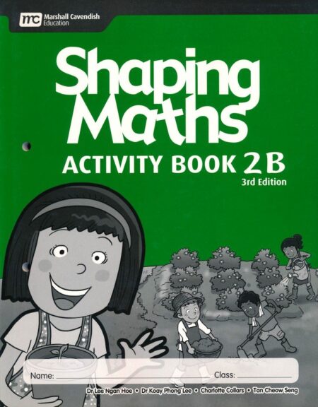 shaping maths Activity Book 2B