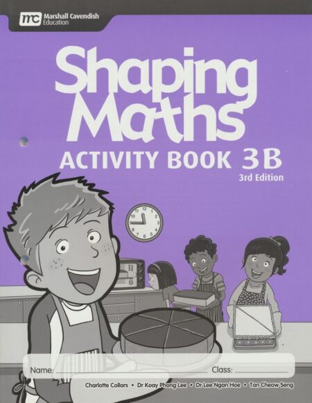 shaping maths Activity Book 3B