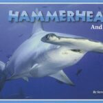 Hammerheads and More!?