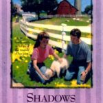 Shadows Beyond the Gate