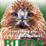 Everything You Need To Know Birds/INF/MM&T