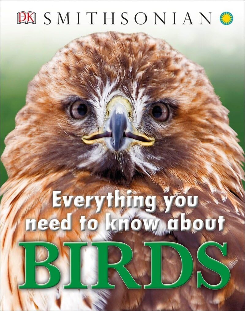 Everything You Need to Know About Birds 