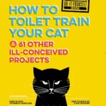 How to Toilet Train Your Cat