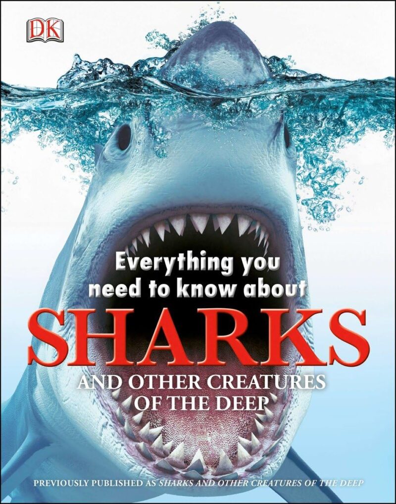 Everything You Need to Know About Sharks