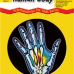 The Human Body