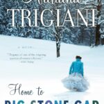 Home to Big Stone Gap