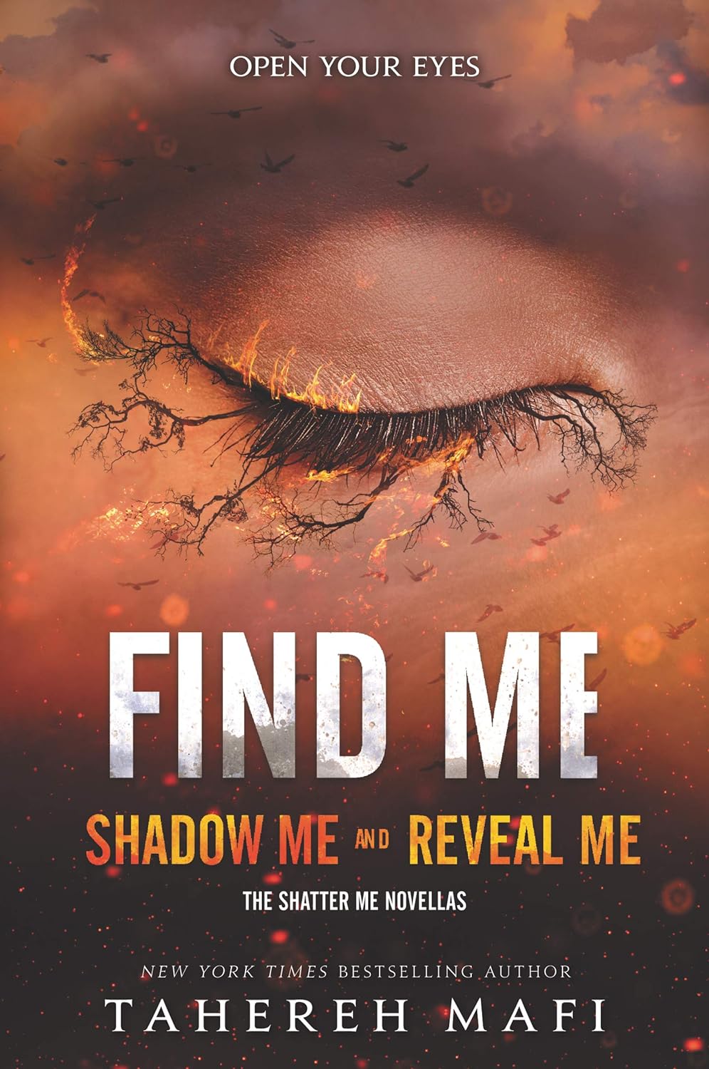 Find Me (Shatter Me Novella)?