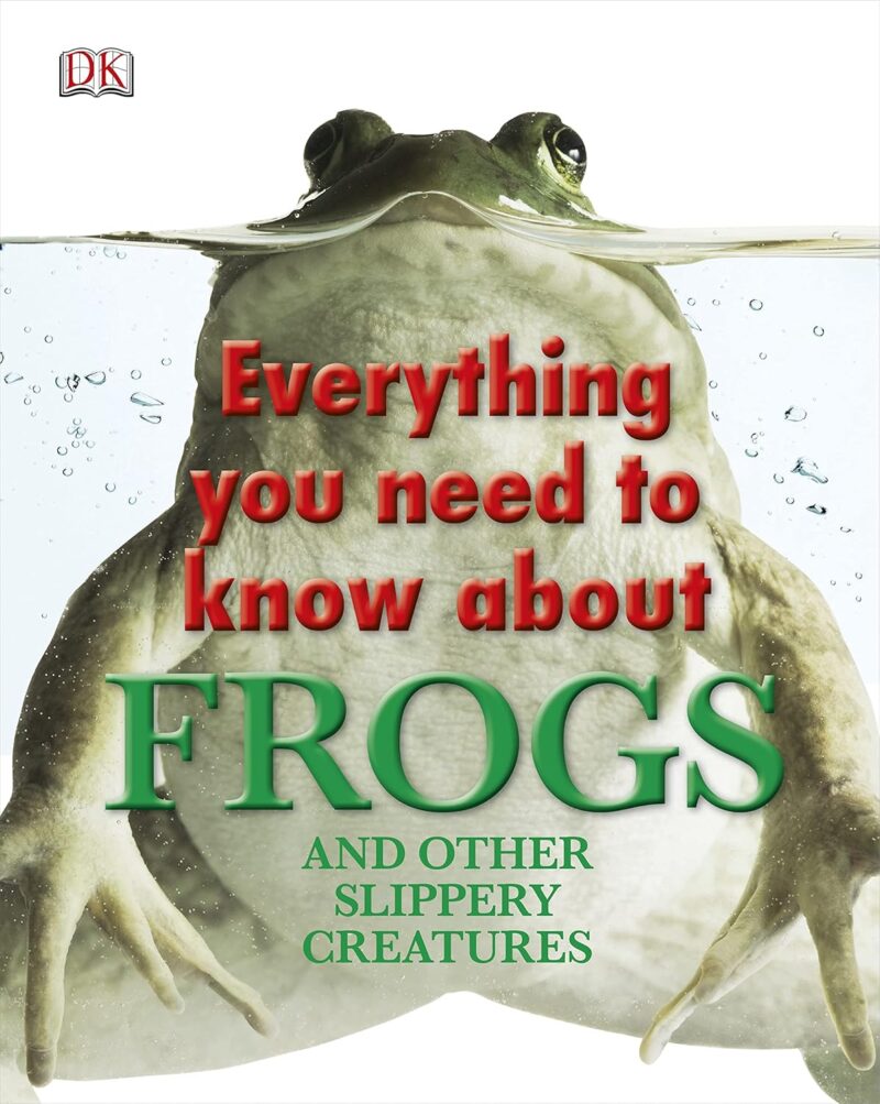 Everything You Need to Know about Frogs