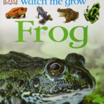 FrogINFDKPRH