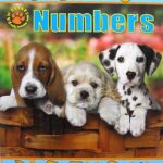 Paw Board Book