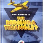 What Happens In The Bermuda Triangle(1 vol)Ency/WB