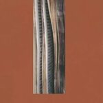 La démocratisation de la langue