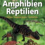 Amphibien und Reptilien: Arten, Lebensräume, Verhalten