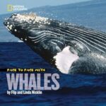 Face to Face with Whales
