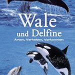 Wale u. Delfine. Welt des Wissens