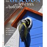 Les oiseaux des fenêtres et balcons