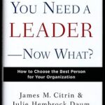 You Need a Leader--Now What?: How to Choose the Best Person for Your Organization