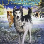 A Hidden Enemy