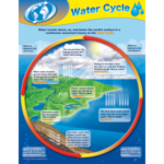 Water Cycle 