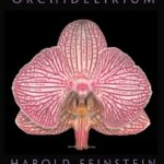 orchidelirium