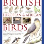The New Encyclopedia of British, European & African Birds