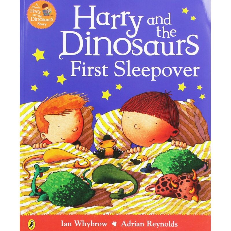 Harry and the Dinosaurs: First Sleepover