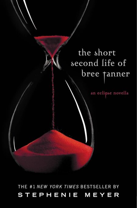 the short second life of bree
