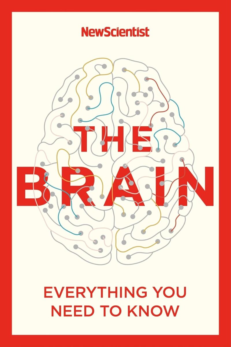 The Brain: Everything You Need to Know