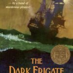 The dark frigate