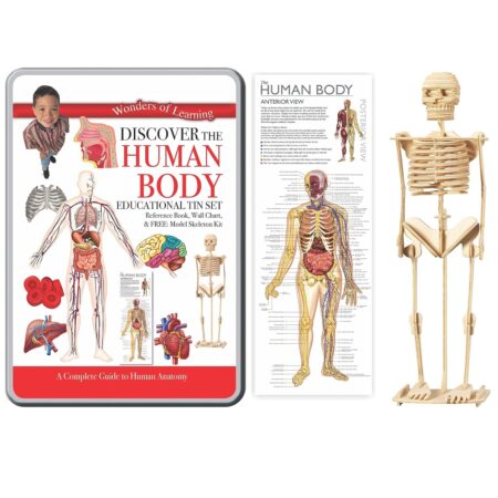 Discover The Human Body – Educational (Wonders of Learning Box Set)