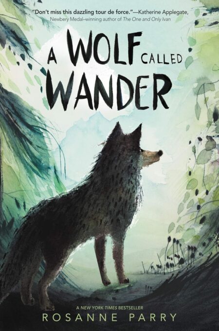 A Wolf Called Wander/YR/HC