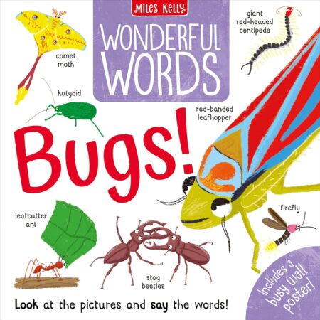 Wonderful Words: Bugs! 