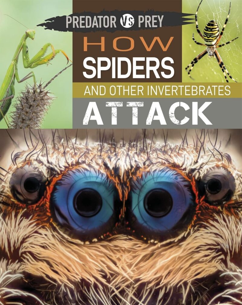 Predator vs Prey: How Spiders and other Invertebrates Attack!