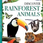 Discover Rainforest Animals