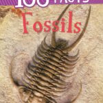 100 Facts Fossils