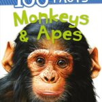 100 Facts Monkeys & Apes