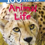 Animal Life
